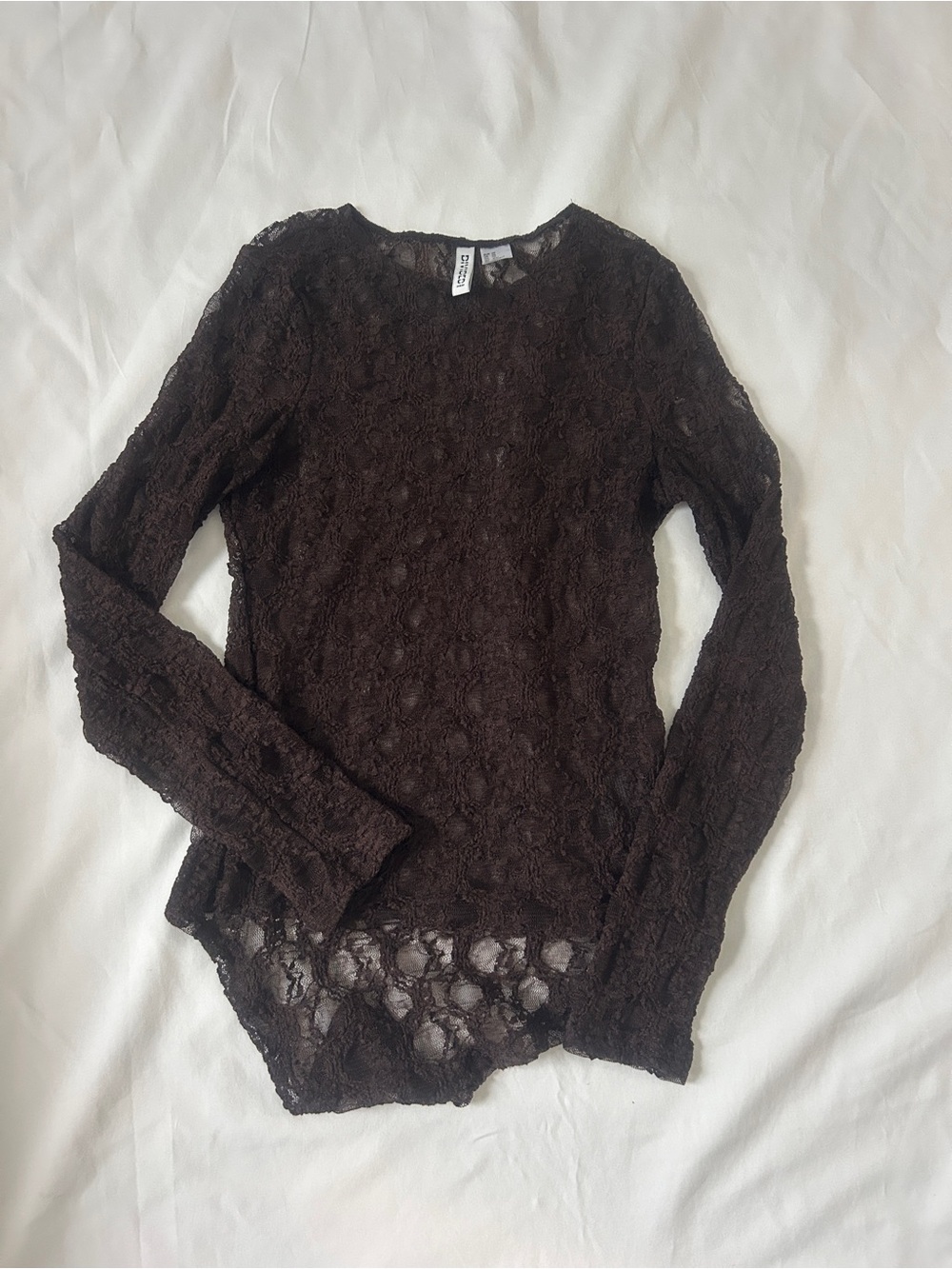 H&M Dark Brown Sheer Lace Long Sleeve Top